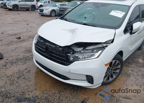 2021 Honda Odyssey Ex-L z USA, uszkodzony, nr VIN 5FNRL6H76MB008873